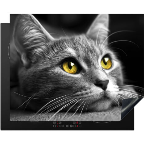 PROTEZIONE PER PIANO COTTURA A INDUZIONE Gatto - Grigio - Animali - Gatto 65x52