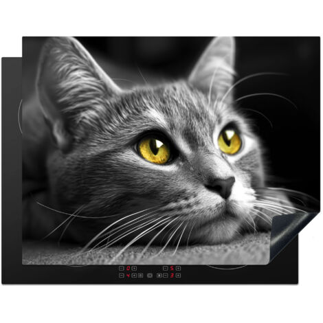 PROTEZIONE PER PIANO COTTURA A INDUZIONE Gatto - Grigio - Animali - Gatto 77x59