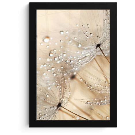 POSTER INCORNICIATO Dente di leone - Astratto - Natura - Beige 20x30 cm