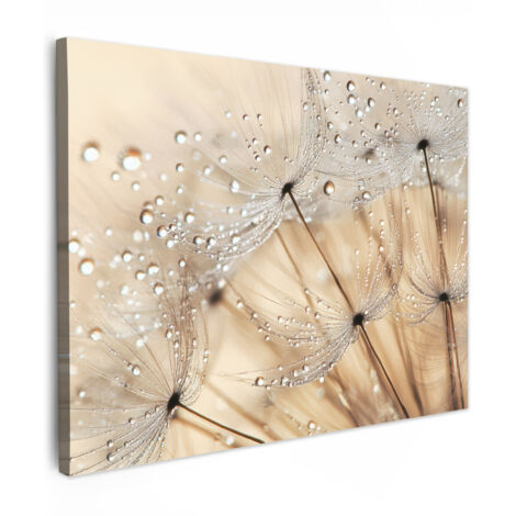 QUADRO SU TELA Dente di leone - Astratto - Natura - Beige 40x30 cm