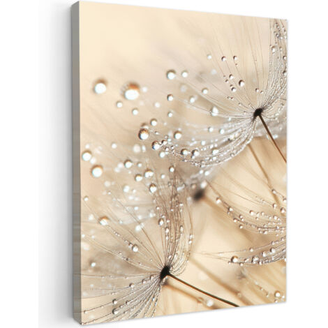 QUADRO SU TELA Dente di leone - Astratto - Natura - Beige 30x40 cm