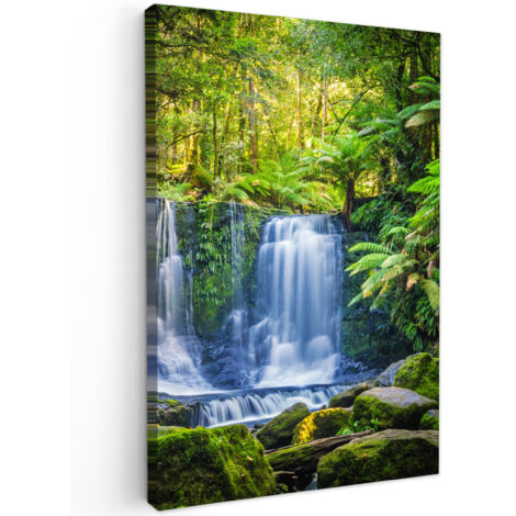 QUADRO SU TELA Giungla - Cascata - Australia - Piante - Natura 20x30 cm (1/5)