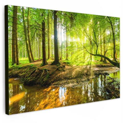 QUADRO SU TELA Foresta - Paesaggio - Acqua - Alberi - Sole - Verde - Natura 150x100 cm