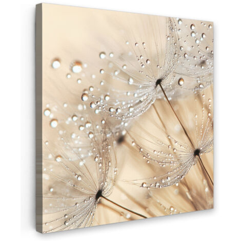QUADRO SU TELA Dente di leone - Astratto - Natura - Beige 20x20 cm