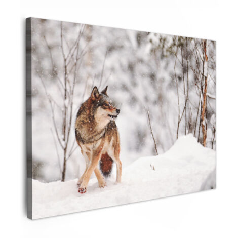 QUADRO SU TELA Lupo - Inverno - Neve - Natura - Animali 80x60 cm