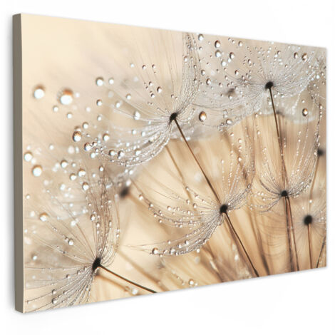 QUADRO SU TELA Dente di leone - Astratto - Natura - Beige 120x80 cm