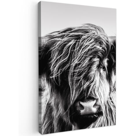 QUADRO SU TELA Mucca - Highlander scozzese - Nero - Bianco - Animale - Natura - Fauna selvatica 20x30 cm