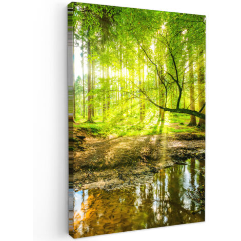 QUADRO SU TELA Foresta - Paesaggio - Acqua - Alberi - Sole - Verde - Natura 60x90 cm