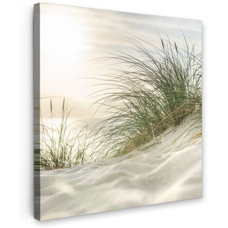 QUADRO SU TELA Dune con erba da spiaggia sotto il sole del Parco Nazionale tedesco Schleswig-Holsteinisches Wattenmeer 20x20 cm (1/5)