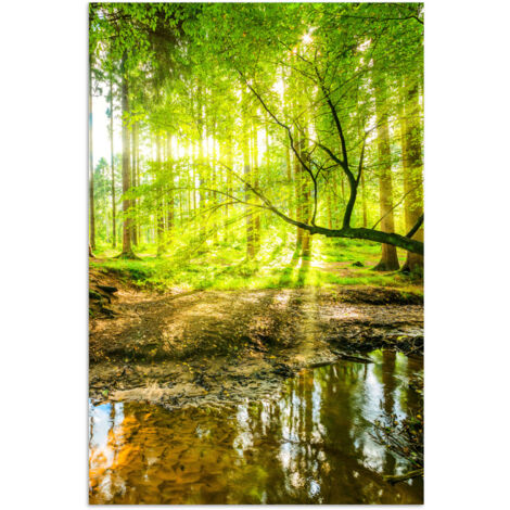 POSTER Foresta - Paesaggio - Acqua - Alberi - Sole - Verde - Natura 80x120 cm