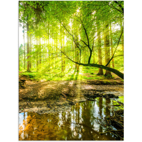 POSTER Foresta - Paesaggio - Acqua - Alberi - Sole - Verde - Natura 30x40 cm