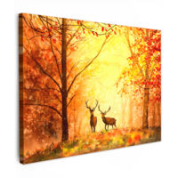QUADRO SU TELA Natura - Colore ad olio - Cervi - Animali - Autunno - Arancione 80x60 cm