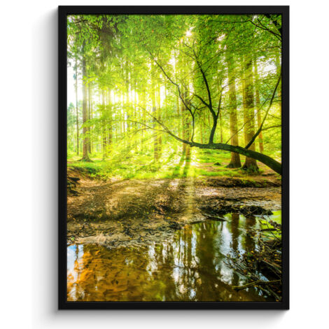 Framed Poster Forest - Landscape - Water - Trees - Sun - Green - Nature 60x80 cm