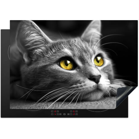 Induction Hob Protector Cat - Gray - Animals - Cat 75x52 cm
