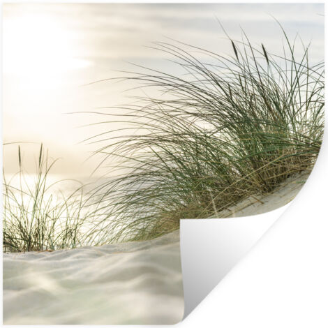 Wall Sticker Dunes with marram grass under the sun of the German national park Schleswig-Holsteinisches Wattenmeer 50x50 cm (1/5)