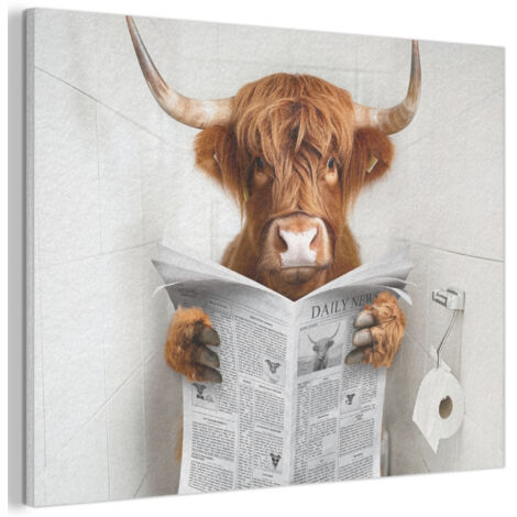 Acoustic Felt Wall Art Scottish Highlander - Animal - Newspaper - Toilet 100x70 cm (1/5)