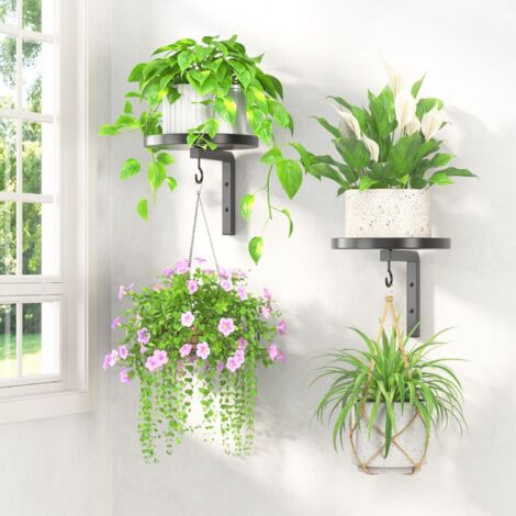 Briznsn lot de 2 Support mural pour plantes, à fixer au mur à l'intérieur, support métallique pour fenêtre, supports suspendus modernes avec crochets, pour la décoration de la cuisine extérieure et de (1/4)