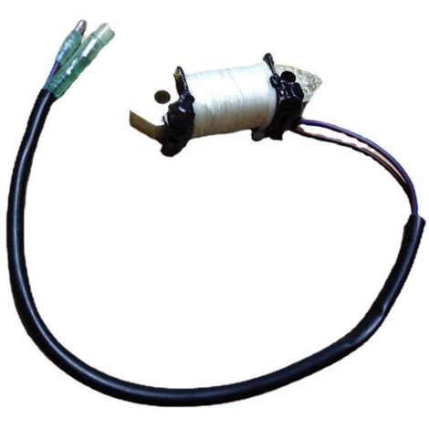 S-giant Bobine d'allumage et de charge pour moteur hors-bord Tohatsu 4 temps 8HP/9.8HP - Compatible avec 3AA-06021-0. (1/5)
