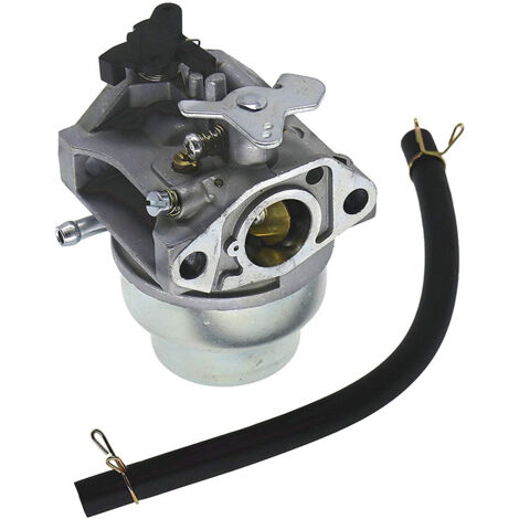 S-giant Carburateur pour moteur GCV160 compatible avec HRT216 HRR216 GCR160A HRS216 (tondeuse). (1/5)