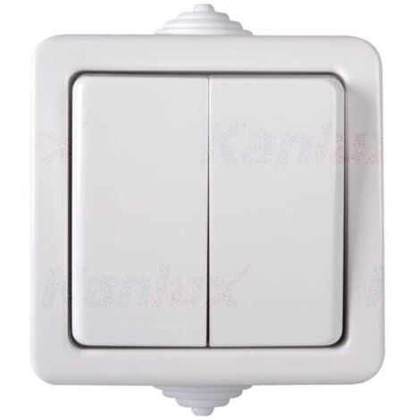 Double interrupteur mural - IP54 - 2 leviers - Blanc - 72x72mm (1/2)