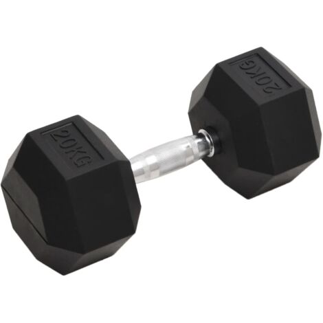 Kurzhantel 20 kg Gusseisen vidaXL