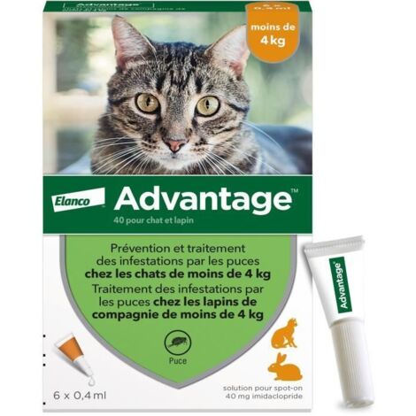 Antiparasiten Advantage Katze Hase 1-4 Kg 0,4 ml 6 Stück