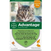 ADVANTAGE 40 CAT - AB 4KG 4 PIPETTEN 106