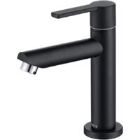 ONECE Rubinetto Bagno Lavabo Solo Acqua Fredda in Ottone, Rubinetti Dell'acqua Fredda per Toilette per Gli Ospiti, Aeratore Rimovibile, Cartuccia in Ceramica, con Tubo di Collegamento