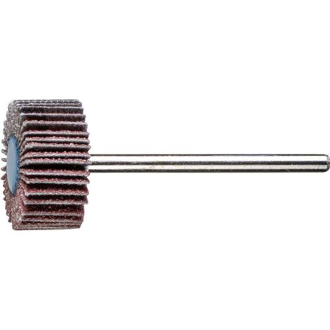 Lot 10 Roues a Lamelles Abrasives PFERD - Corindon Grain 80 - D. 20x10 mm Tige 3 mm - Ponçage Metal (1/2)