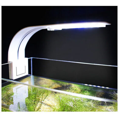 Éclairage LED pour aquarium, lumière blanche et bleue, nano-clip