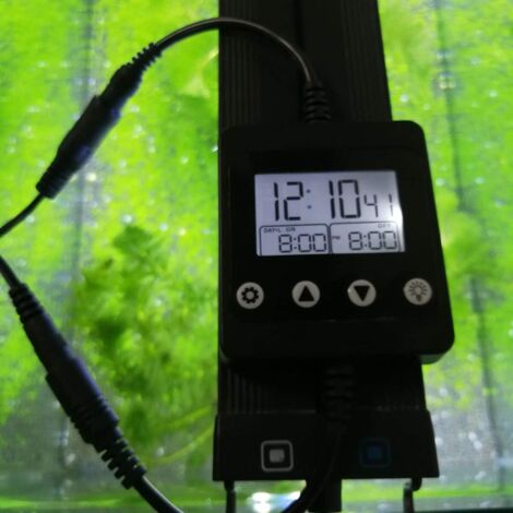 Minuteur pour aquarium, programmateur numérique 24 heures, minuteur numérique pour aquarium, minuteur de contrôle d'éclairage (1/4)