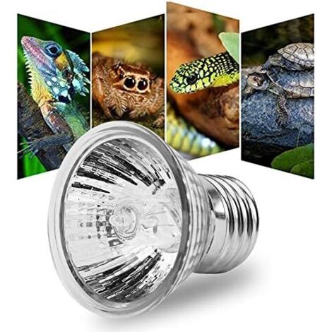 Lampe chauffante tortue E27 110V 25W YIY (1/5)