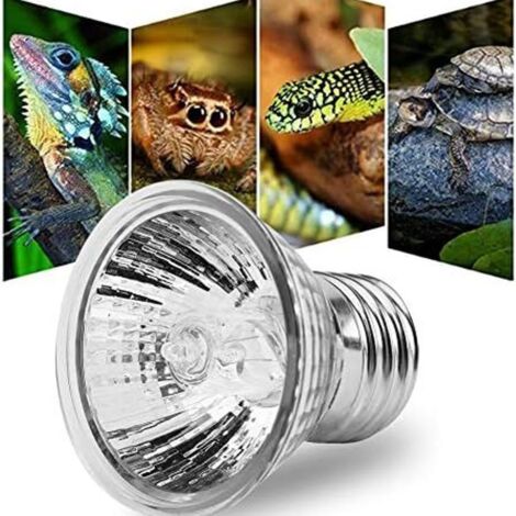 Lampe chauffante pour tortues, ampoule E27, 25 W, convient aux reptiles et aux amphibiens (1/5)