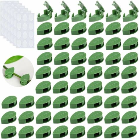 60 clips de fixation pour plantes grimpantes, clips pour plantes grimpantes, utilisés pour la fixation murale de plantes grimpantes dans le jardin. (1/5)