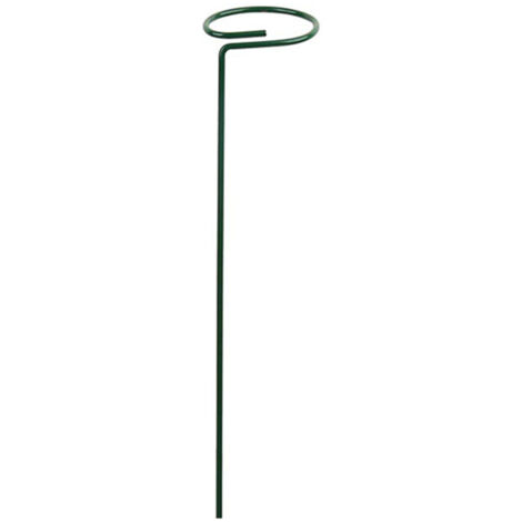 Tuteur en métal pour plantes grimpantes, support pour plantes de jardin, support pour plantes grimpantes, tomates, pivoines, lys, rosiers grimpants (1/5)