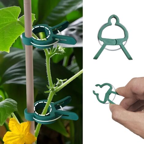 Lot de 10 pinces à plantes réglables et réutilisables pour le jardin : supports pour fleurs, plantes grimpantes et légumes (1/5)