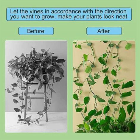 Lot de 400 fixations murales pour plantes grimpantes, supports pour plantes grimpantes et feuillages verts, idéal pour la décoration murale. (1/5)