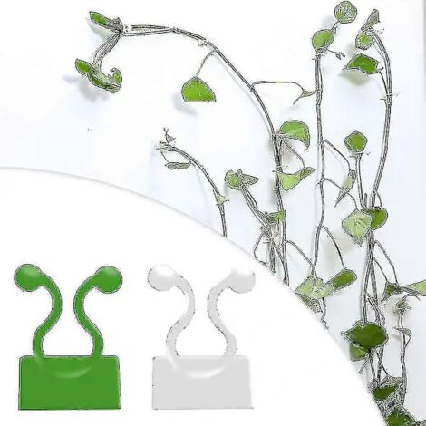 Supports invisibles pour plantes grimpantes, clips de fixation murale, crochets auto-adhésifs, vert et blanc, NS2, blanc, 50 pièces, taille S (1/4)