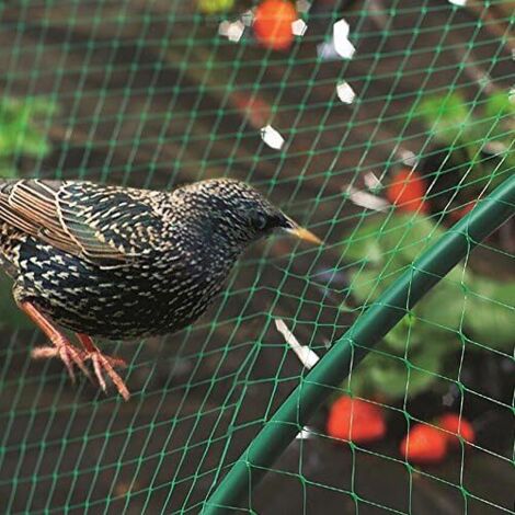 Filet de protection contre les oiseaux, filet de jardin vert 4 x 6 m, filet de protection pour plantes (1/5)