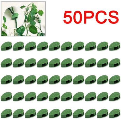 Clips invisibles pour plantes grimpantes (10 à 50 pièces) - Supports pour plantes grimpantes en rotin avec boucle de fixation et pinces à feuilles, système de tension pour jardin (1/5)