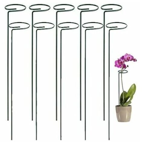 Lot de 10 supports pour plantes grimpantes en acier CRUEL - Cage à plantes - Anneau de support métallique - Petit pot de jardin - Treillis (35,5 cm) (1/4)
