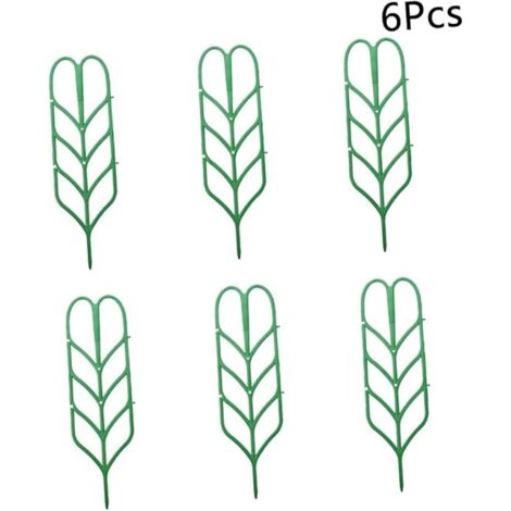 Lot de 6 mini-plantes d'intérieur en pot pour terrasse (1/5)