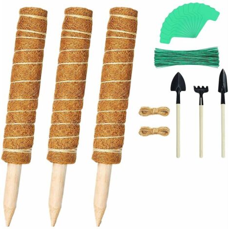 Ensemble de 120 tiges en mousse - Tiges en fibre de 40 cm (16 pouces) empilables pour tuteurs de plantes en pot (1/5)