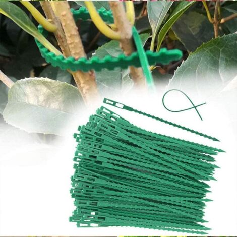 100 morceaux de ruban adhésif vert pour jardin, 22 cm (1/4)