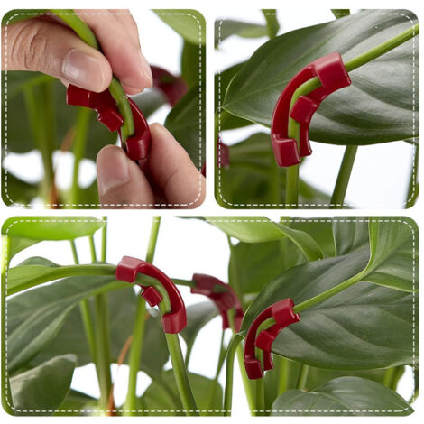 Cintre à 90 degrés pour plantes, support pour plantes, outil de jardin, lot de 30 (rouge) (1/5)