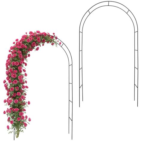 Ensemble de 2 arches en métal noir avec rosaces (1/5)
