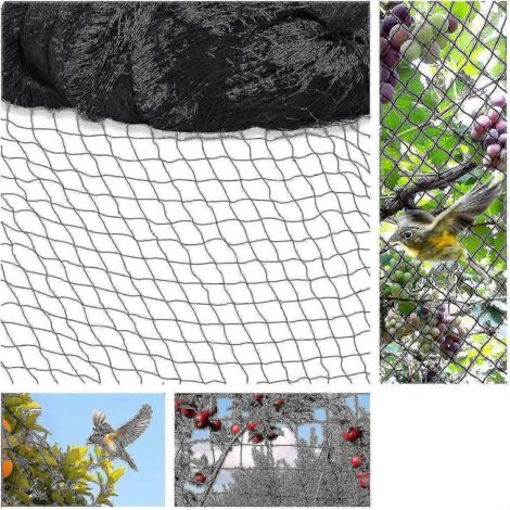 [KK] Filet anti-oiseaux 15 m x 15 m pour jardin et arbres fruitiers (1/5)