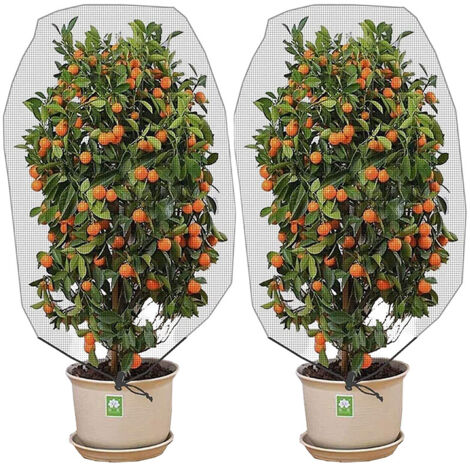 Lot de 2 filets anti-insectes à mailles fines pour jardin, plantes et fruits