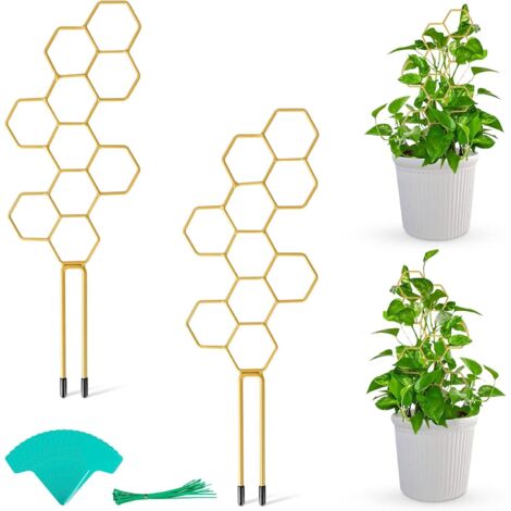 Lot de 2 supports pour plantes grimpantes de 35,5 cm (14 pouces), en métal alvéolé doré. (1/5)
