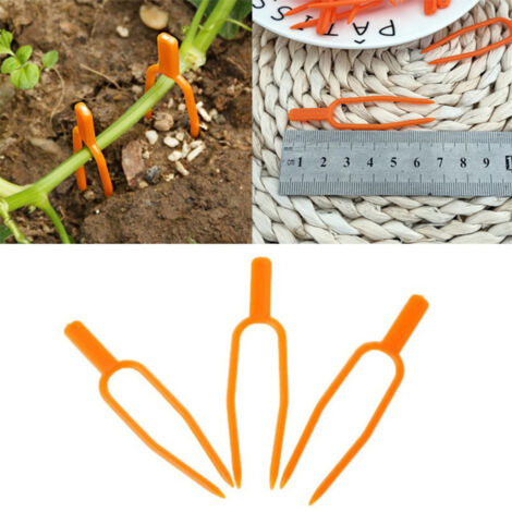 Clips de fixation pour plantes de jardin, supports de serrage en plastique pour vignes, fourches de plantation pour semis de fraisiers et de pastèques (1/5)